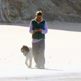 Brad Pitt, pe plajă, alături de câinele său