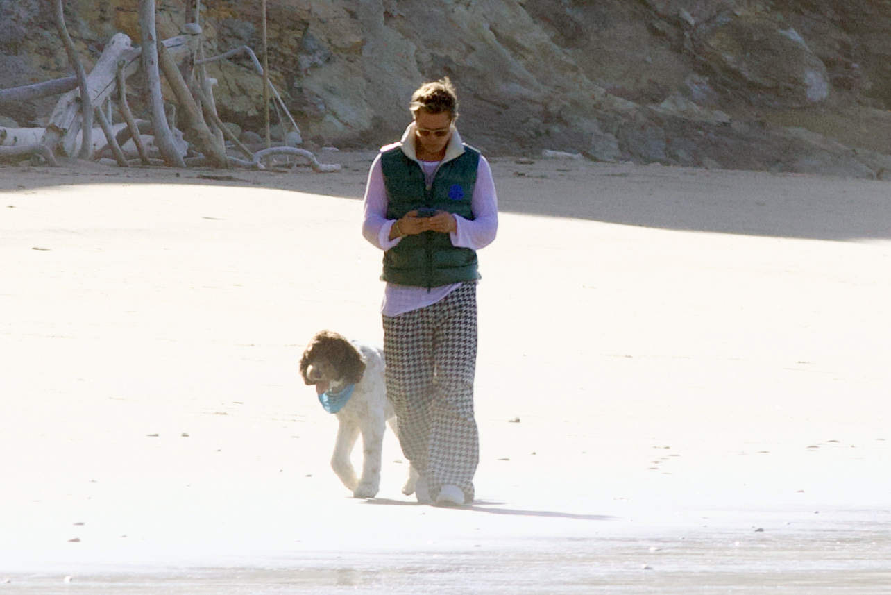 Brad Pitt, pe plajă, alături de câinele său