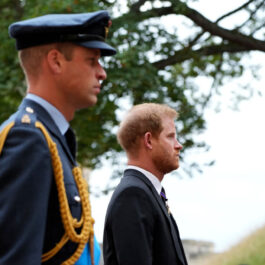 Prințul William și Prințul Harry, la o ceremonie, într-un câmp deschis