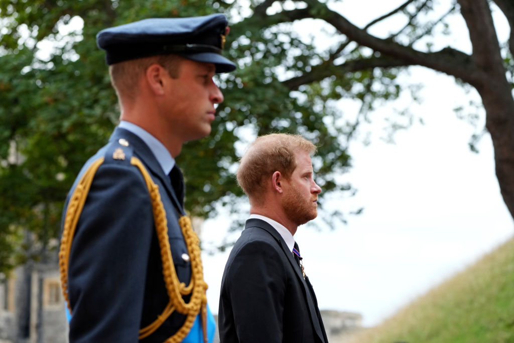 Prințul William și Prințul Harry, la o ceremonie, într-un câmp deschis