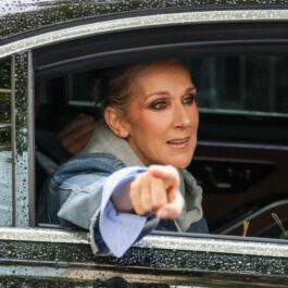 Celine Dion, într-o mașină, în haine lejere