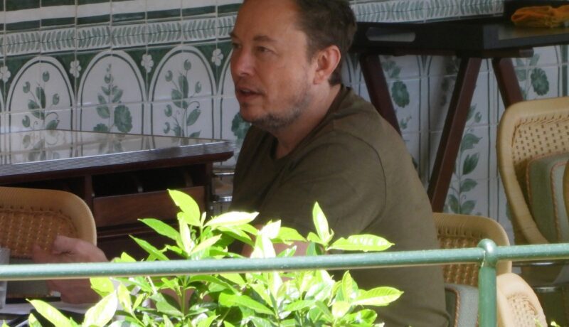 Grimes l-a „implorat” pe Elon Musk să țină copiii departe de internet: „Tinerii sunt distruși de mediul online”